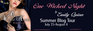 One Wicked Night banner